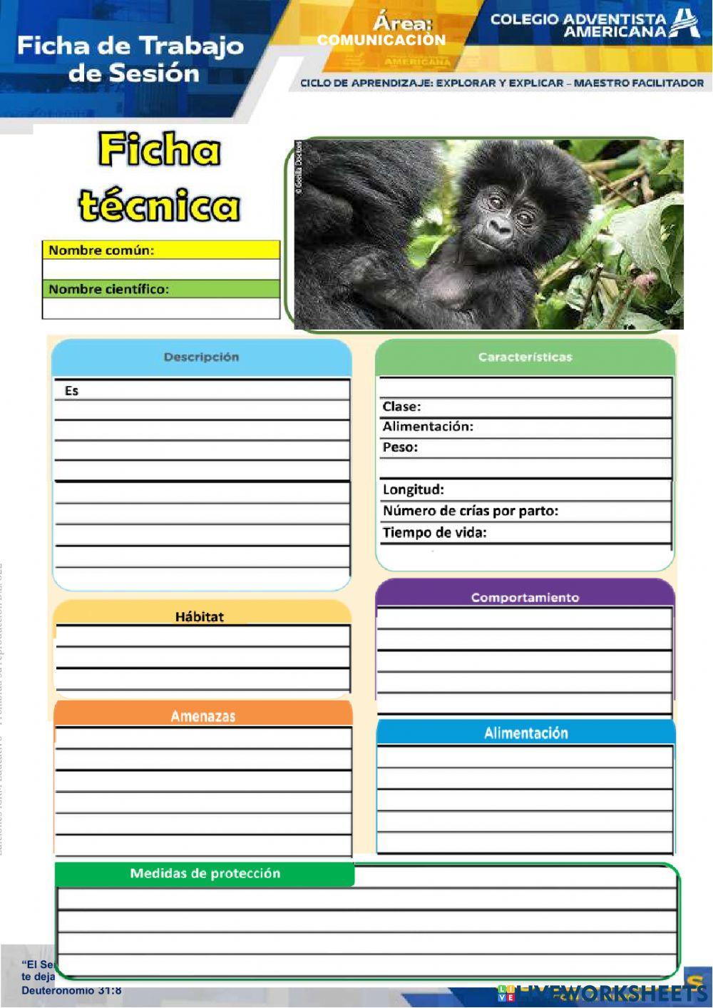 Ficha tecnica la descripcion