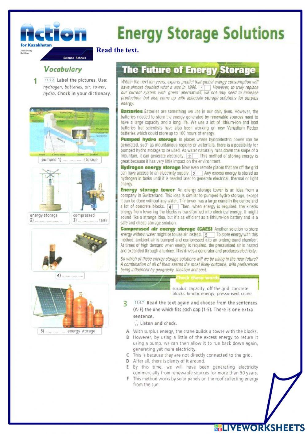 The Future of Energy Storage
