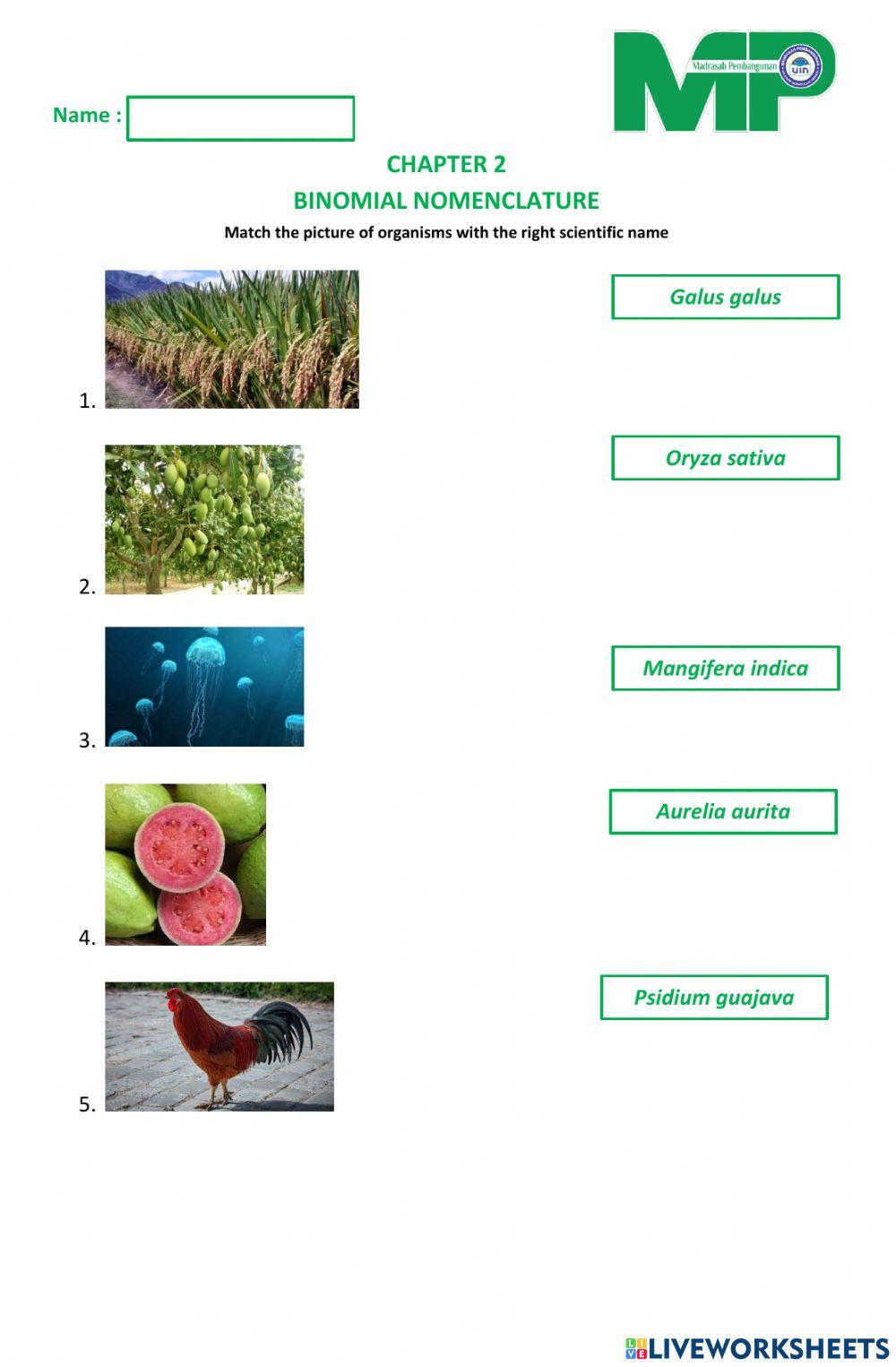 Binomial nomenc Free Interactive Worksheets 1434134