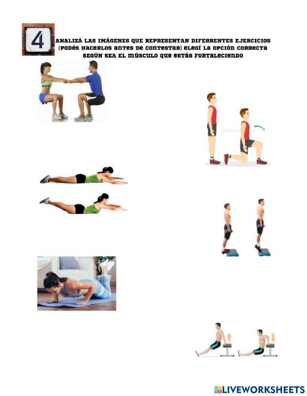 Sistema Oseoartromuscular