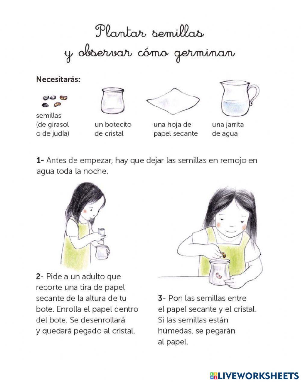 Emma y los girasoles