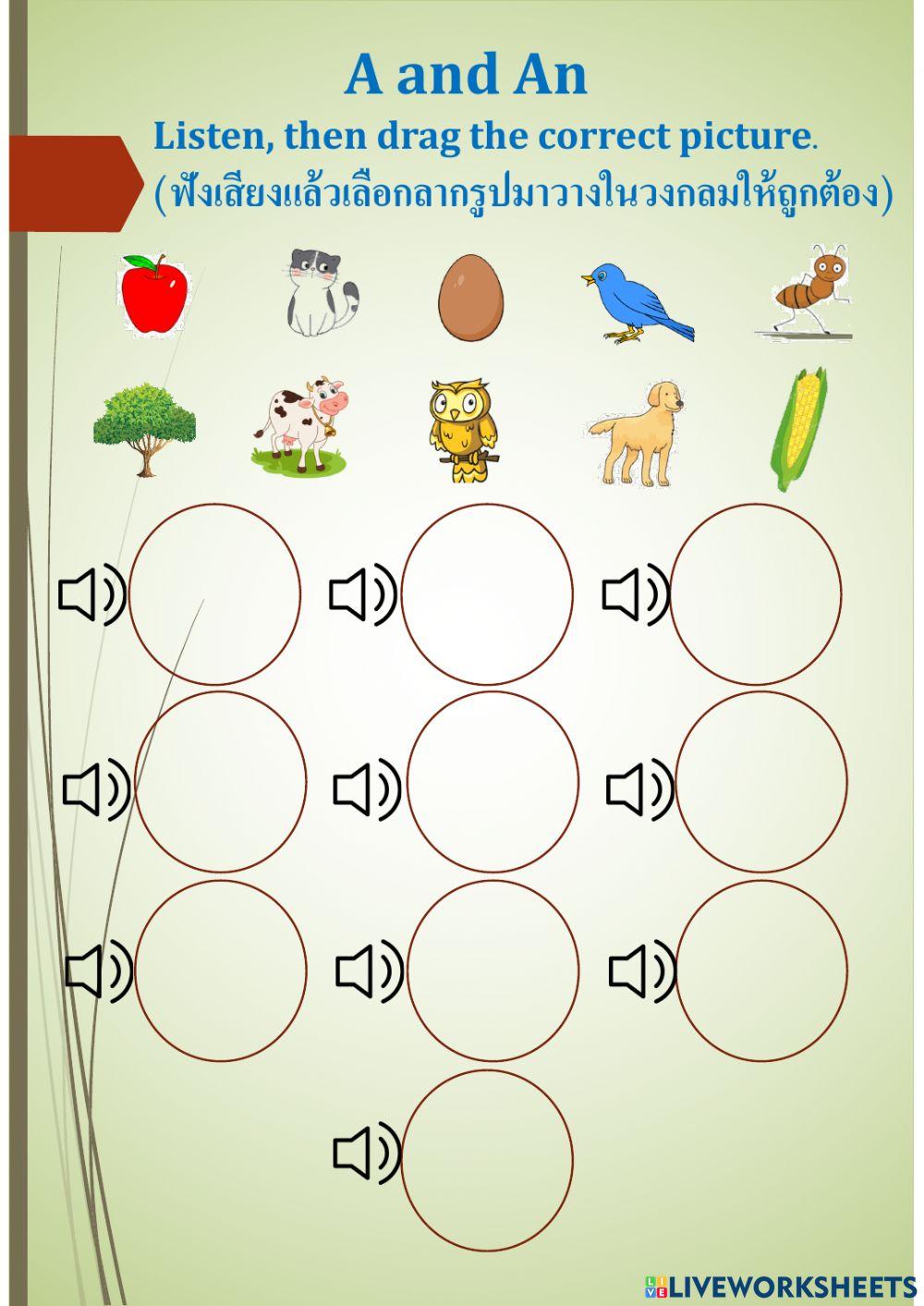 A -An and vocabulary