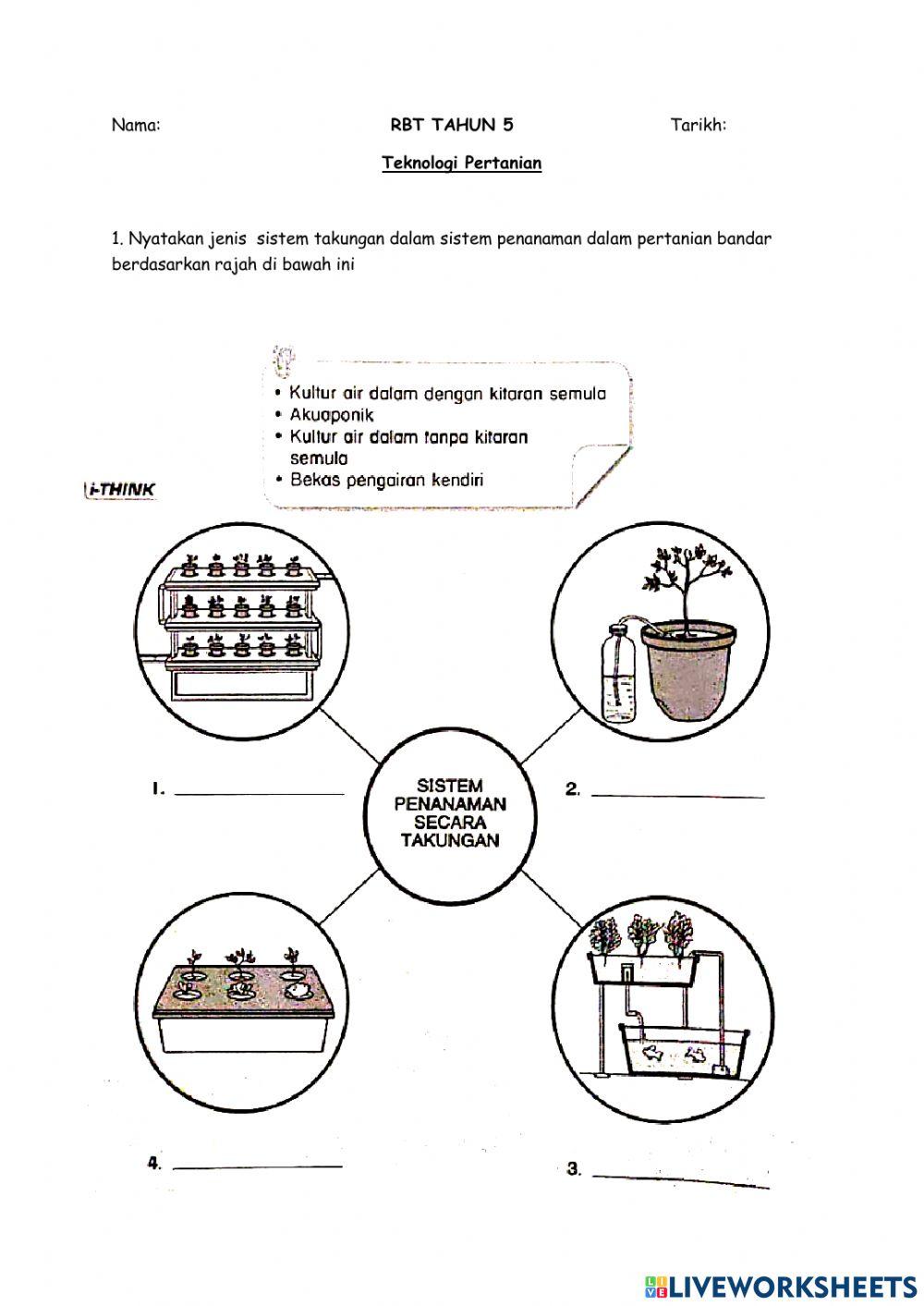 Reka bentuk Teknologi Tahun 5 : Teknologi Pertanian