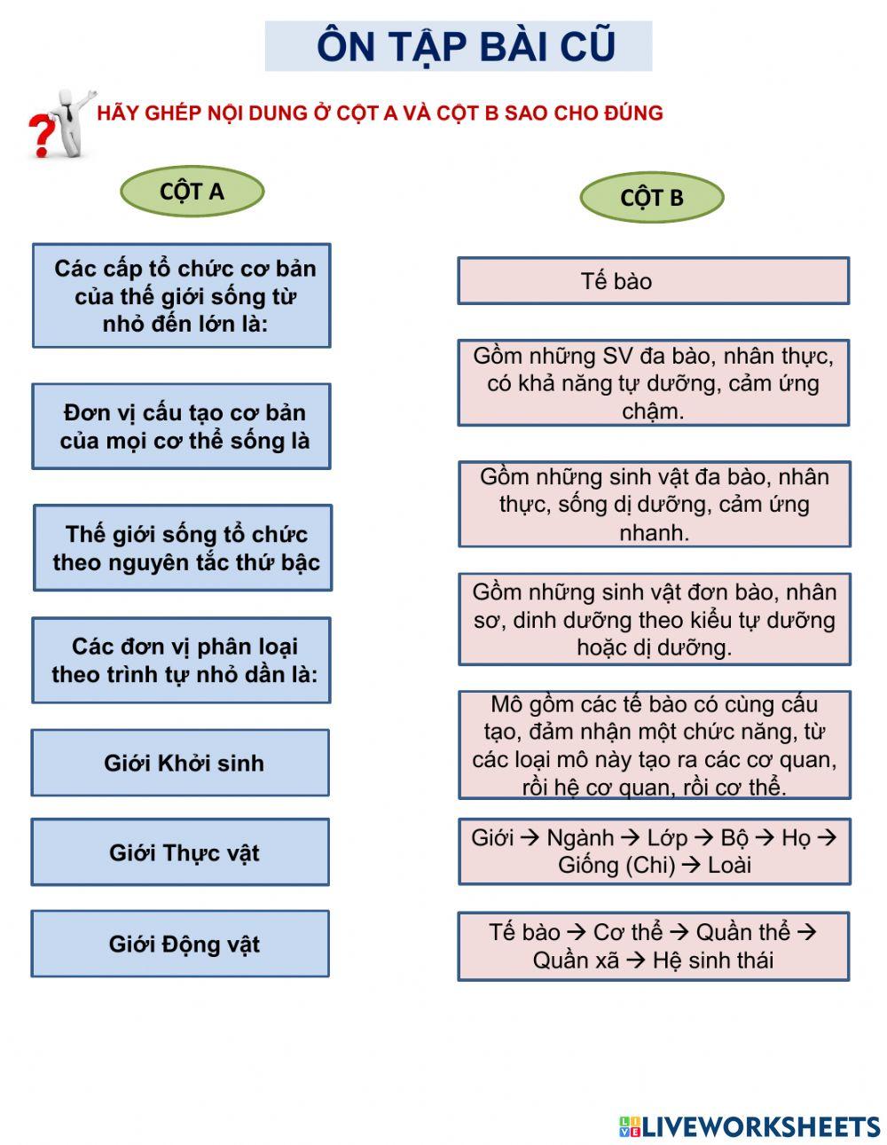 Bài 3 Sinh 10 worksheet | Live Worksheets