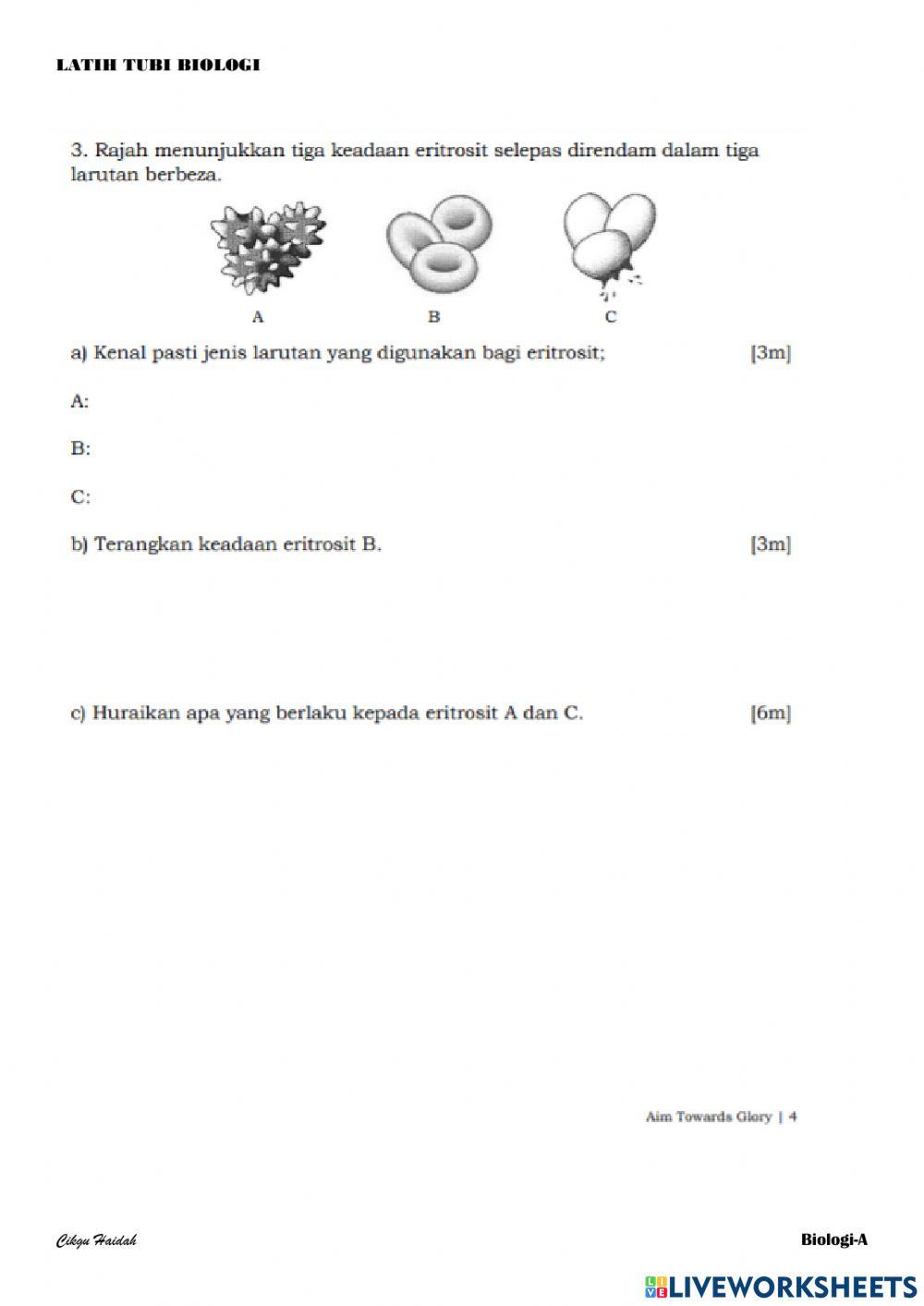 Kertas 2 BIOLOGI SPM