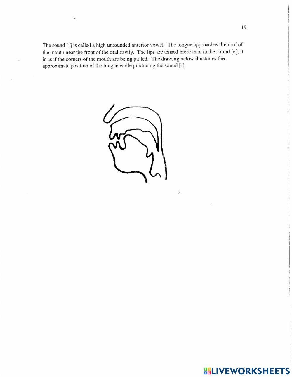 Fonetica: la vocal i