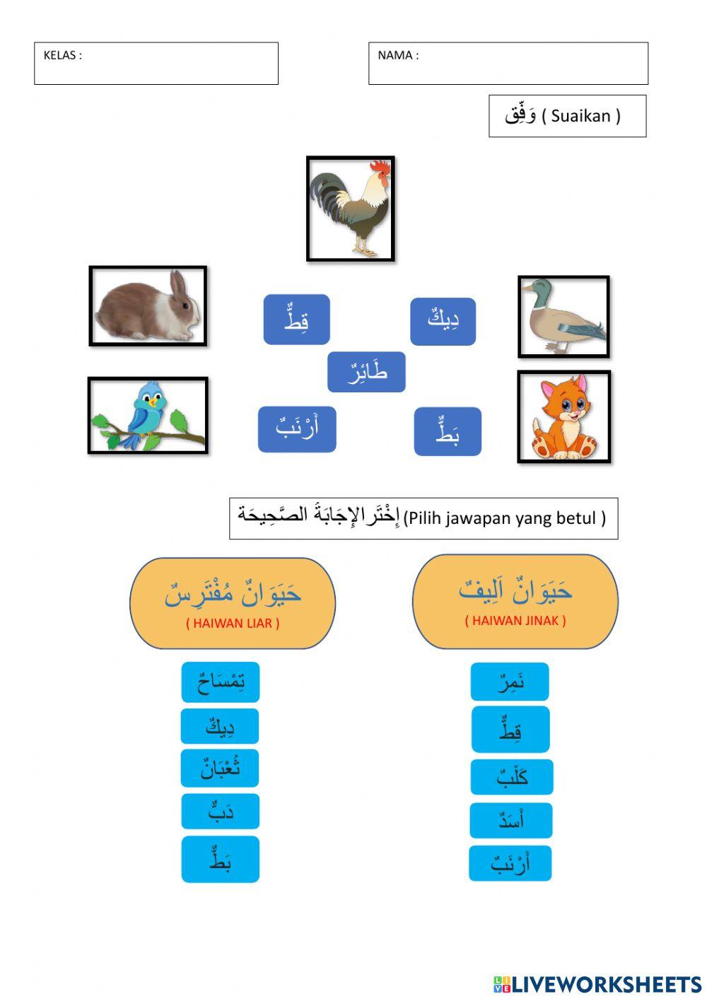 رفقا بالحيوانات