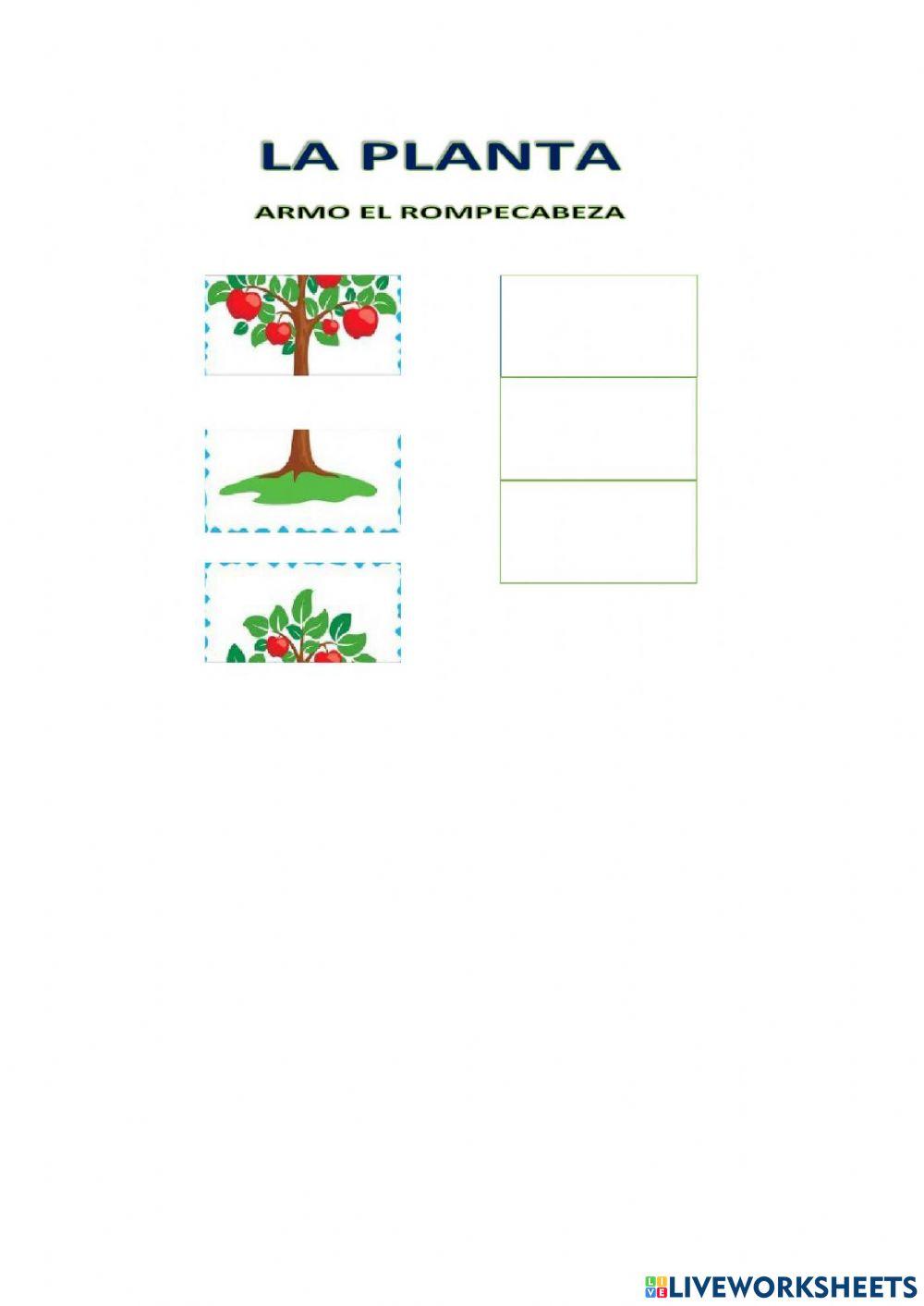 Rompecabezas de las plantas