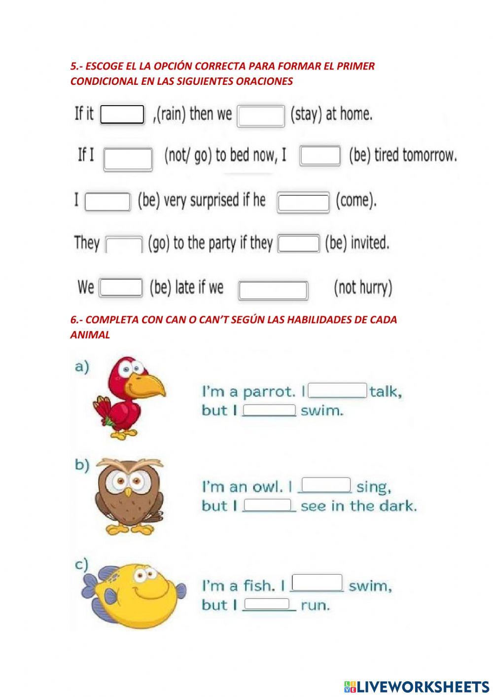 Examen 1quimestre - 7MO