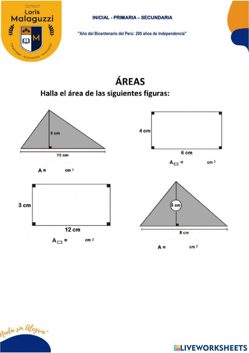 ÁREAS DE UNA SUPERFICIE