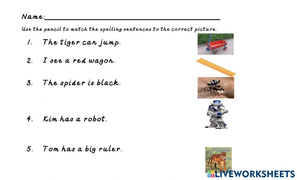 Middle Consonant Words
