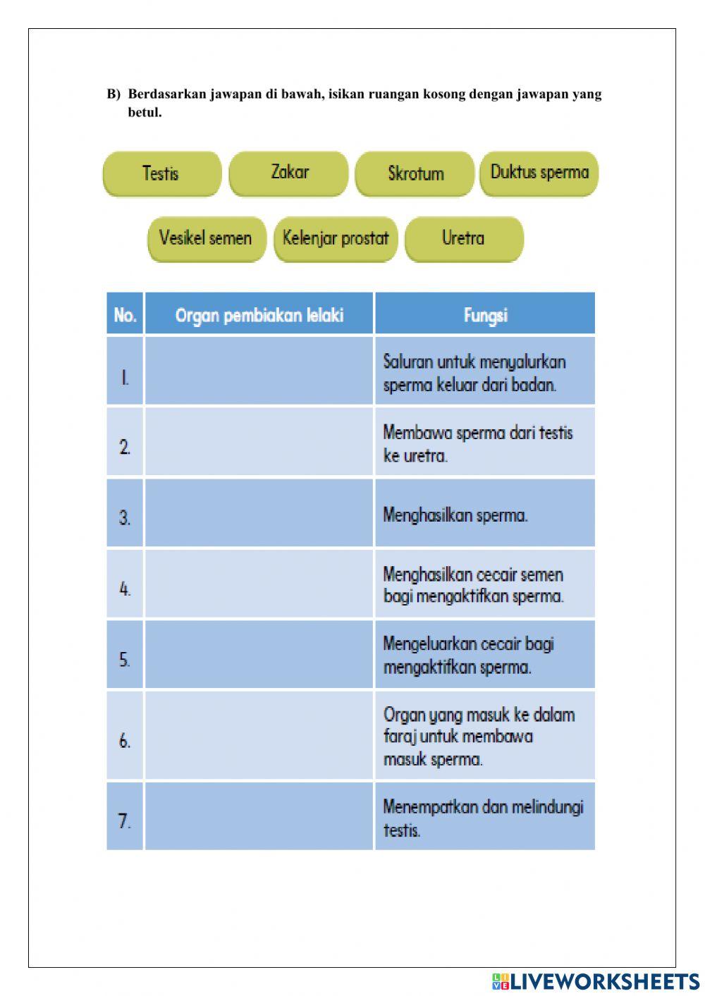 Ualngkaji 1 (unit 1)