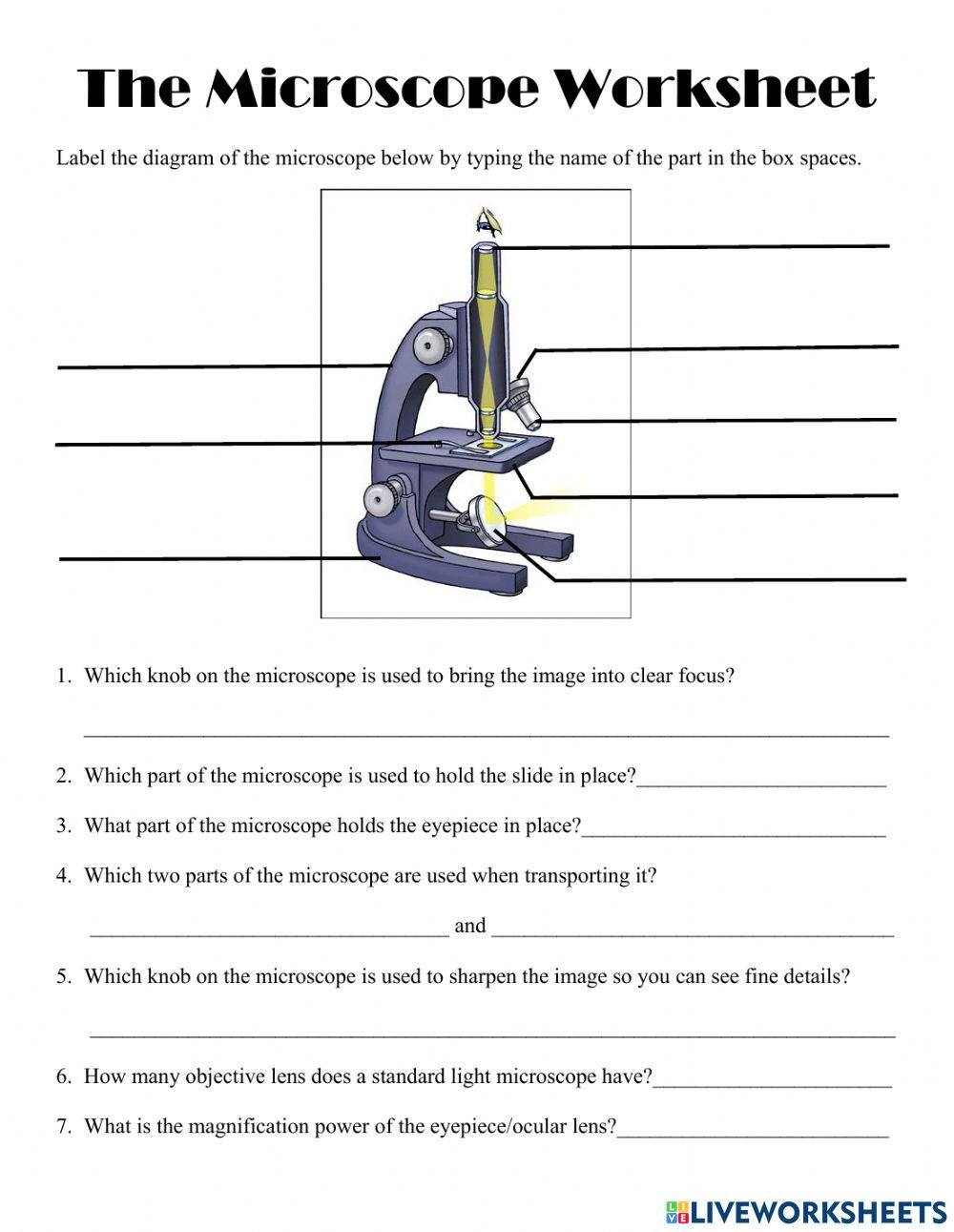 The Microscope Parts & Functions