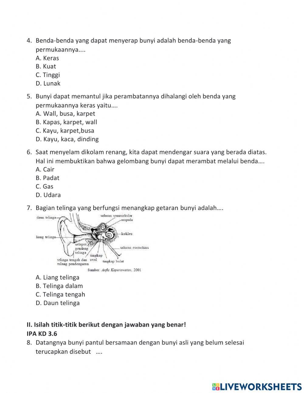 PTS IPA Tema 1 (Remedial)