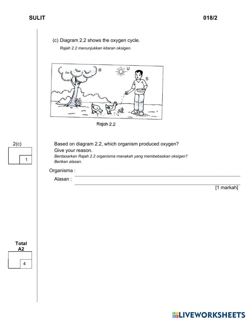 Science Year 4 DLP - Paper 2