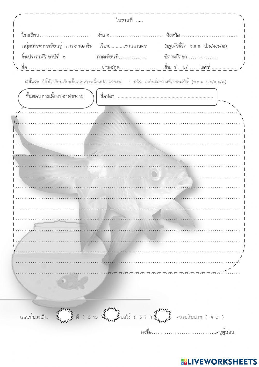 บันทึกการเลี้ยงปลา