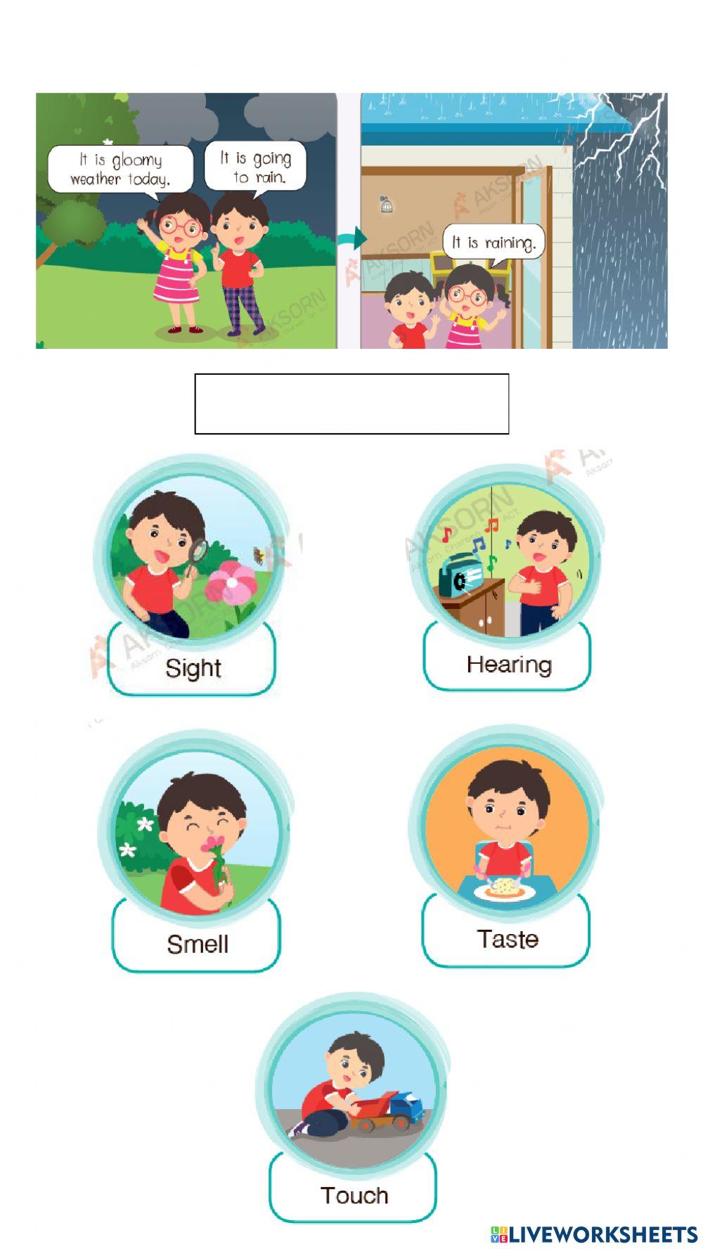 Science Process Skills