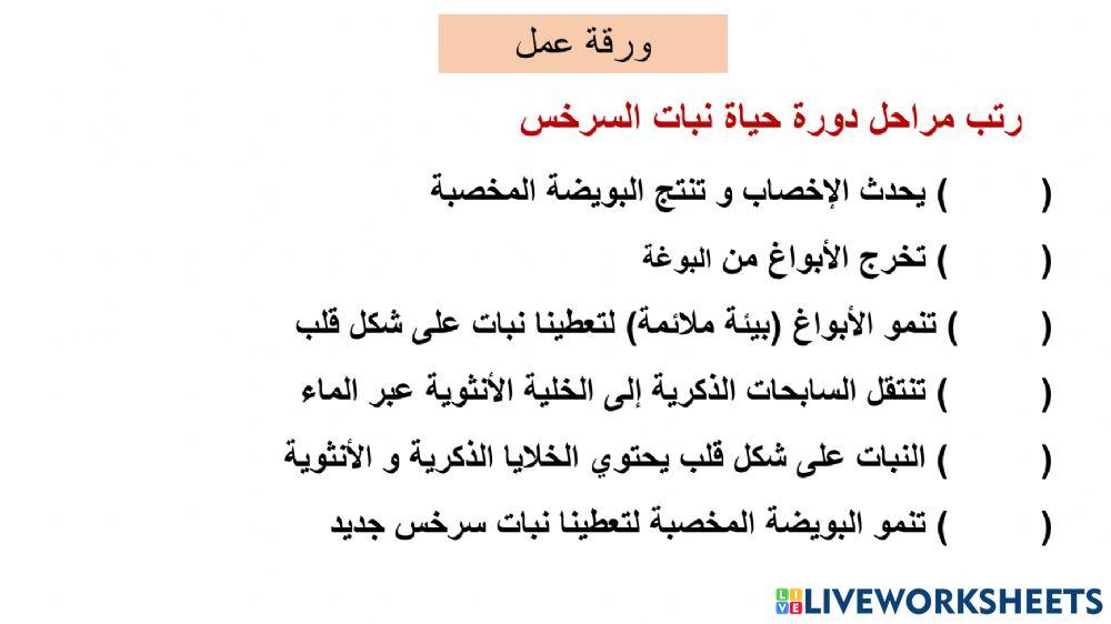 دورة حياة السخرخسيات