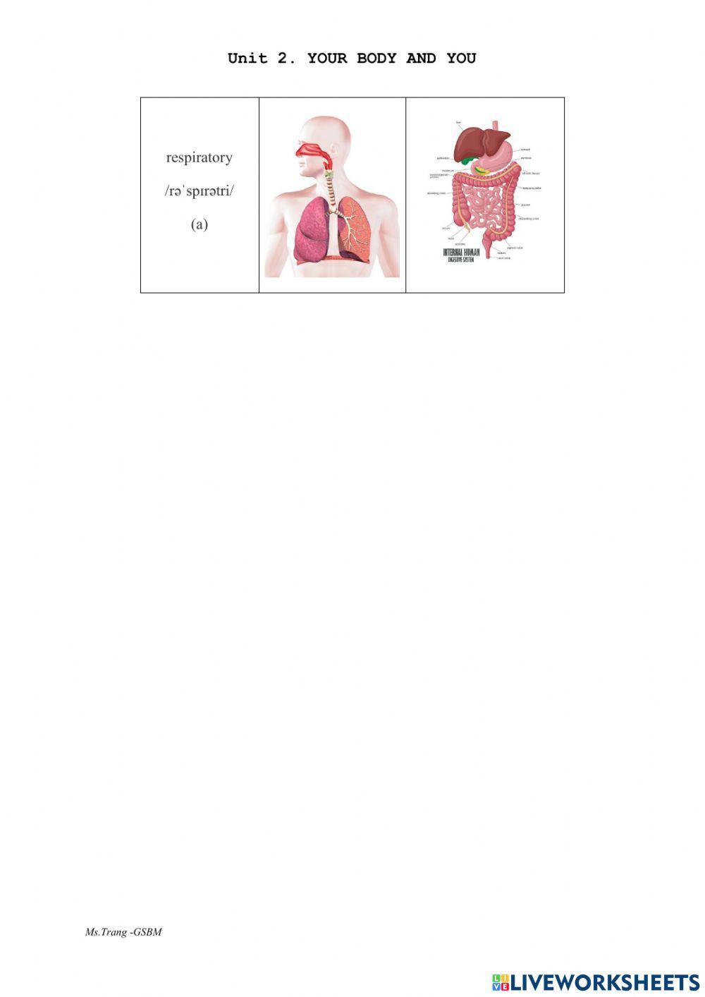 Unit 2 Your body and you