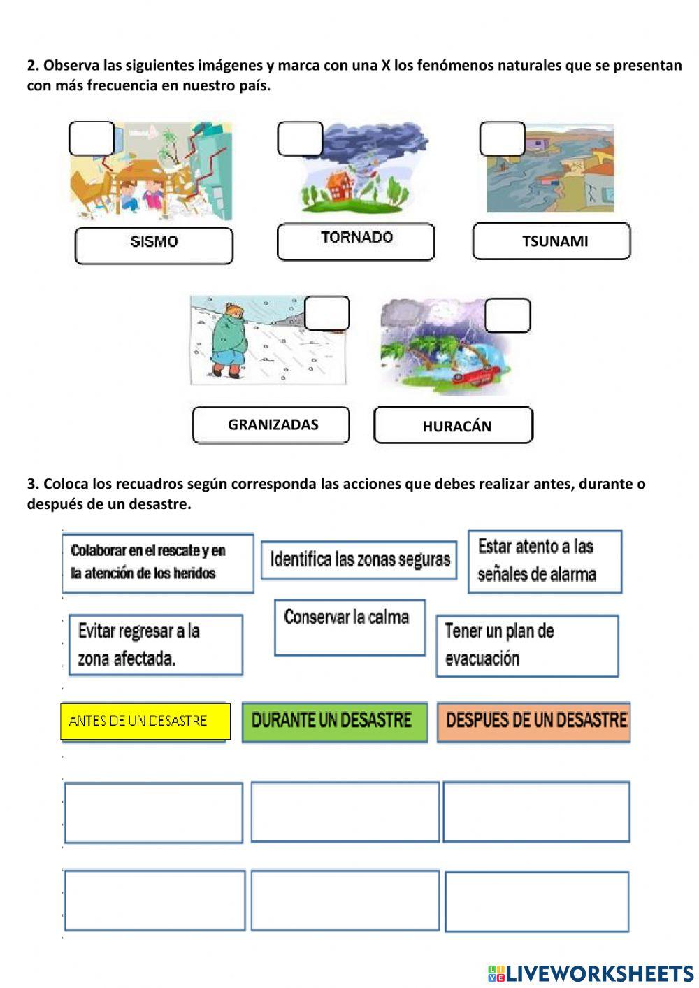 Natural sciences worksheet