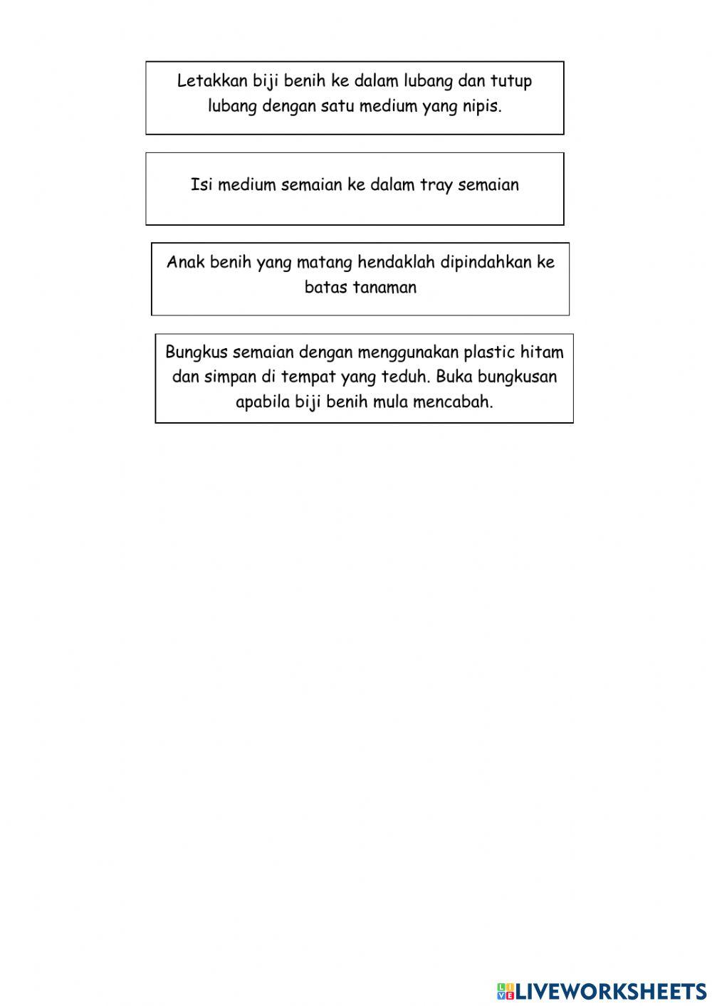 Langkah menyemai biji benih