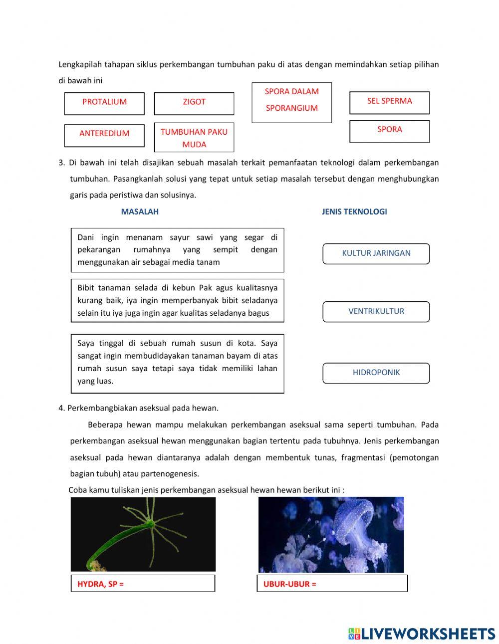 Lkpd PERKEMBANGBIAKAN HEWAN DAN TUMBUHAN