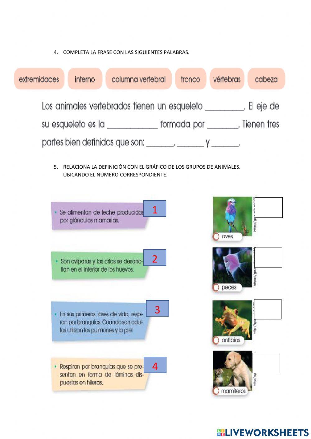 Evaluacion quimestral naturales