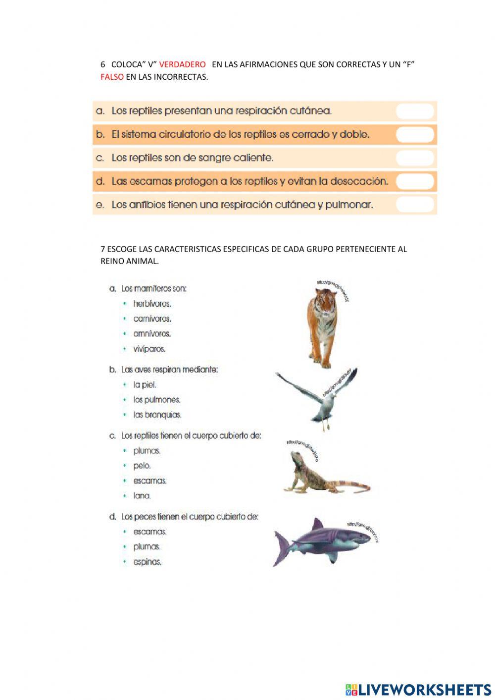 Evaluacion quimestral naturales