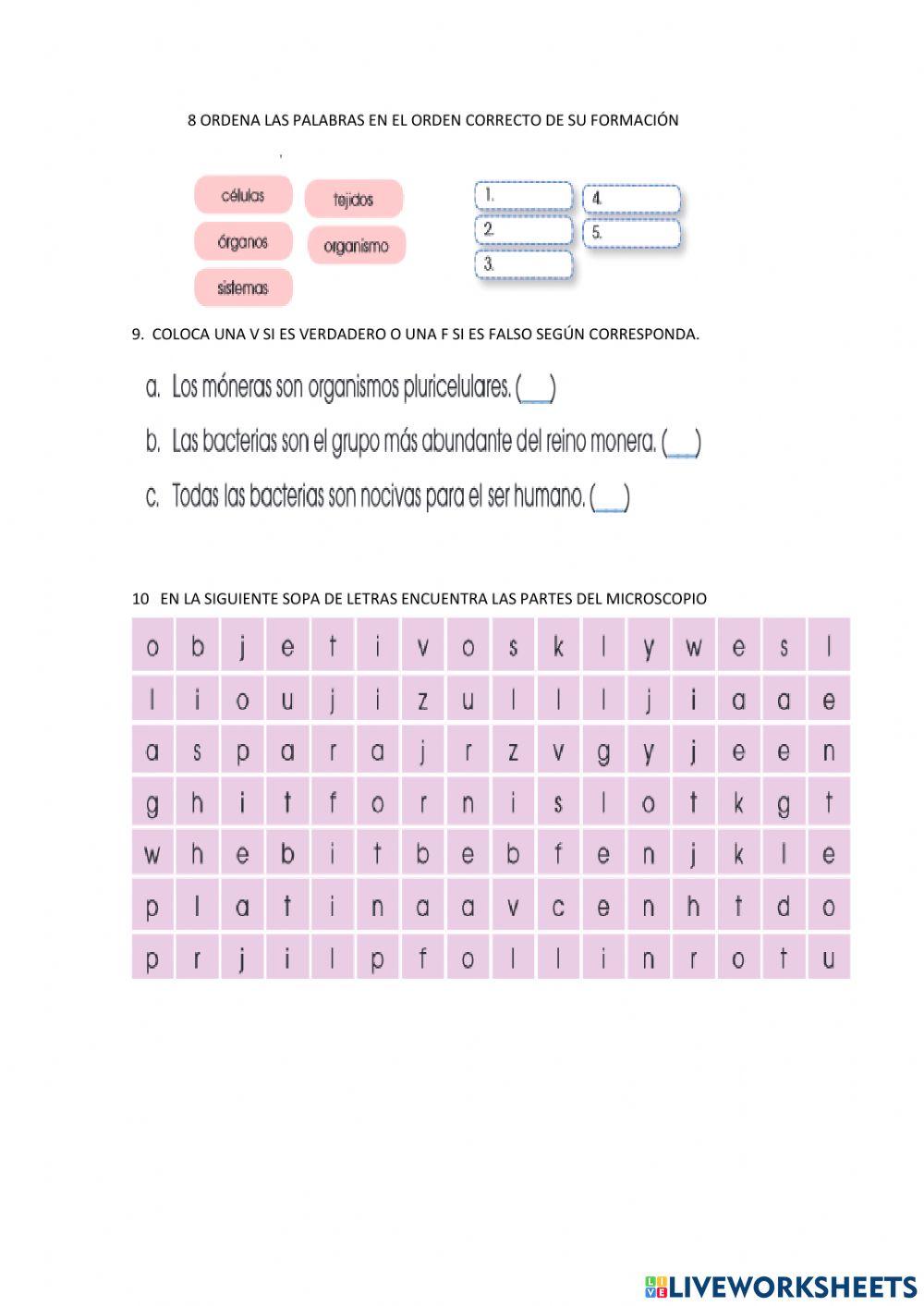 Evaluacion quimestral naturales