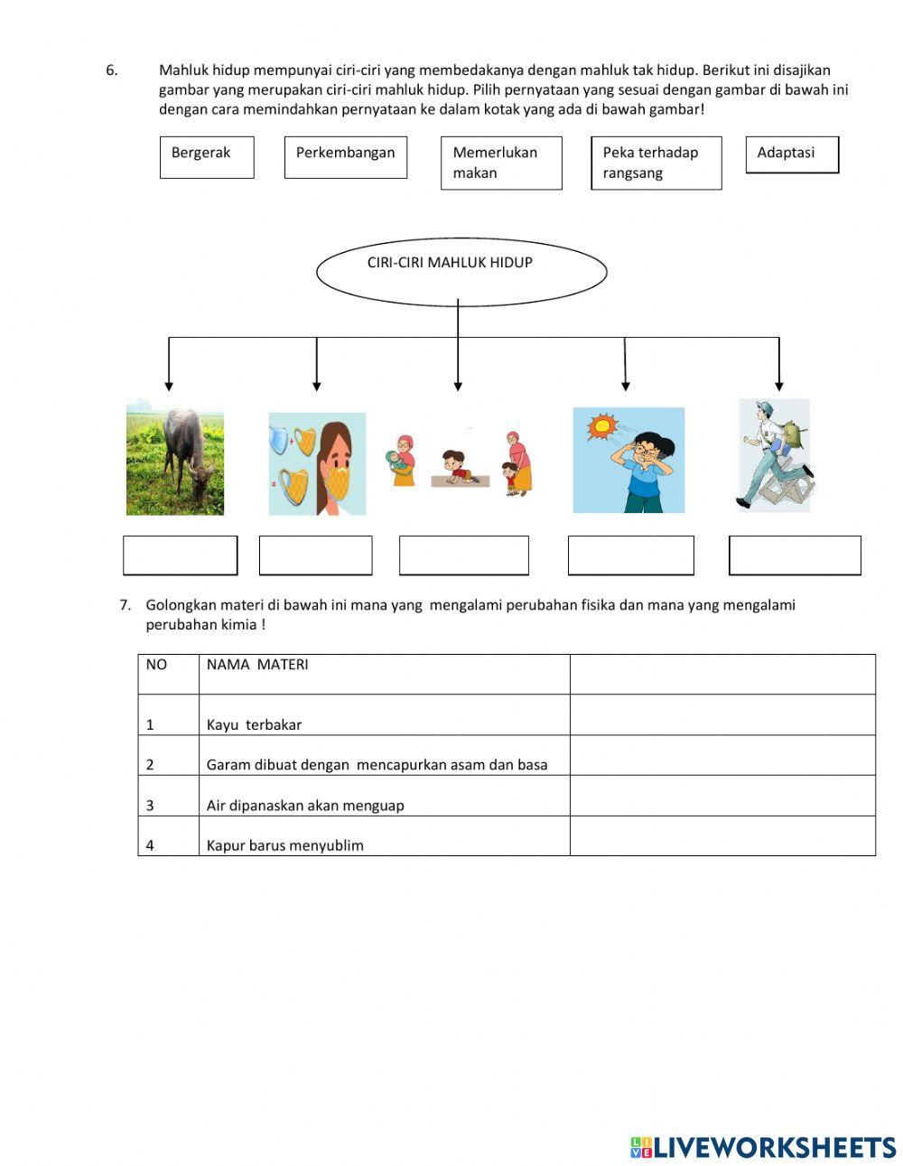 Klasifikasi materi dan perubahanya