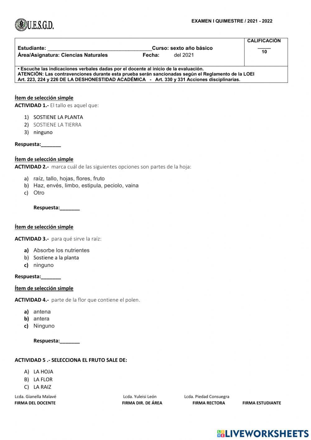Examen primer quimestre