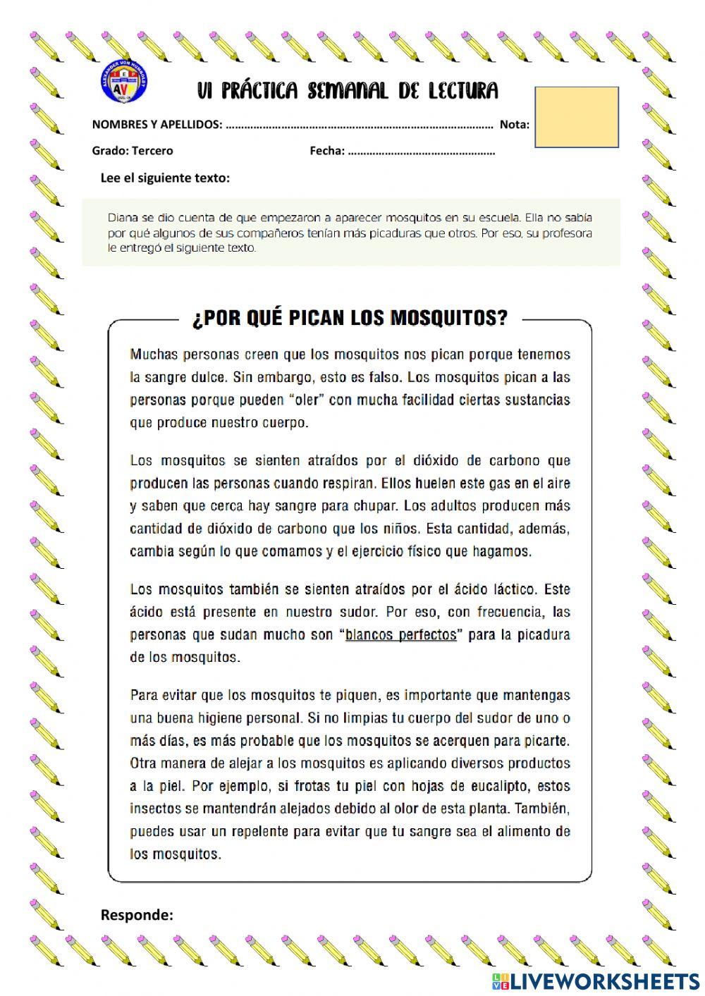 Vi practica de lectura