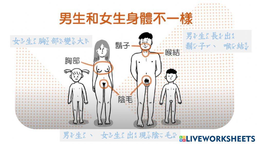 自我保護-男生和女生身體不一樣
