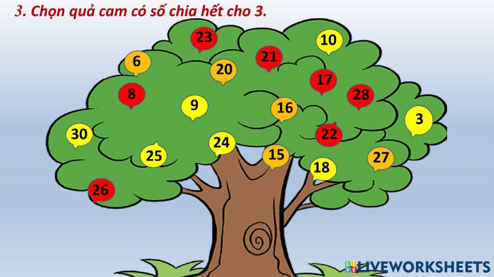 Toán Tuần 2 Tiết 5