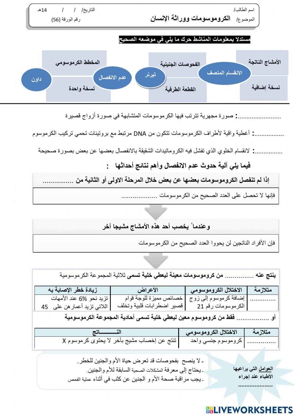 ورقة 56تفاعلية3
