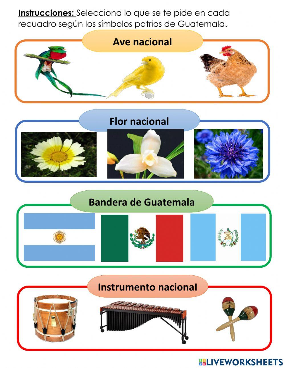 Motricidad fina evaluacion 4