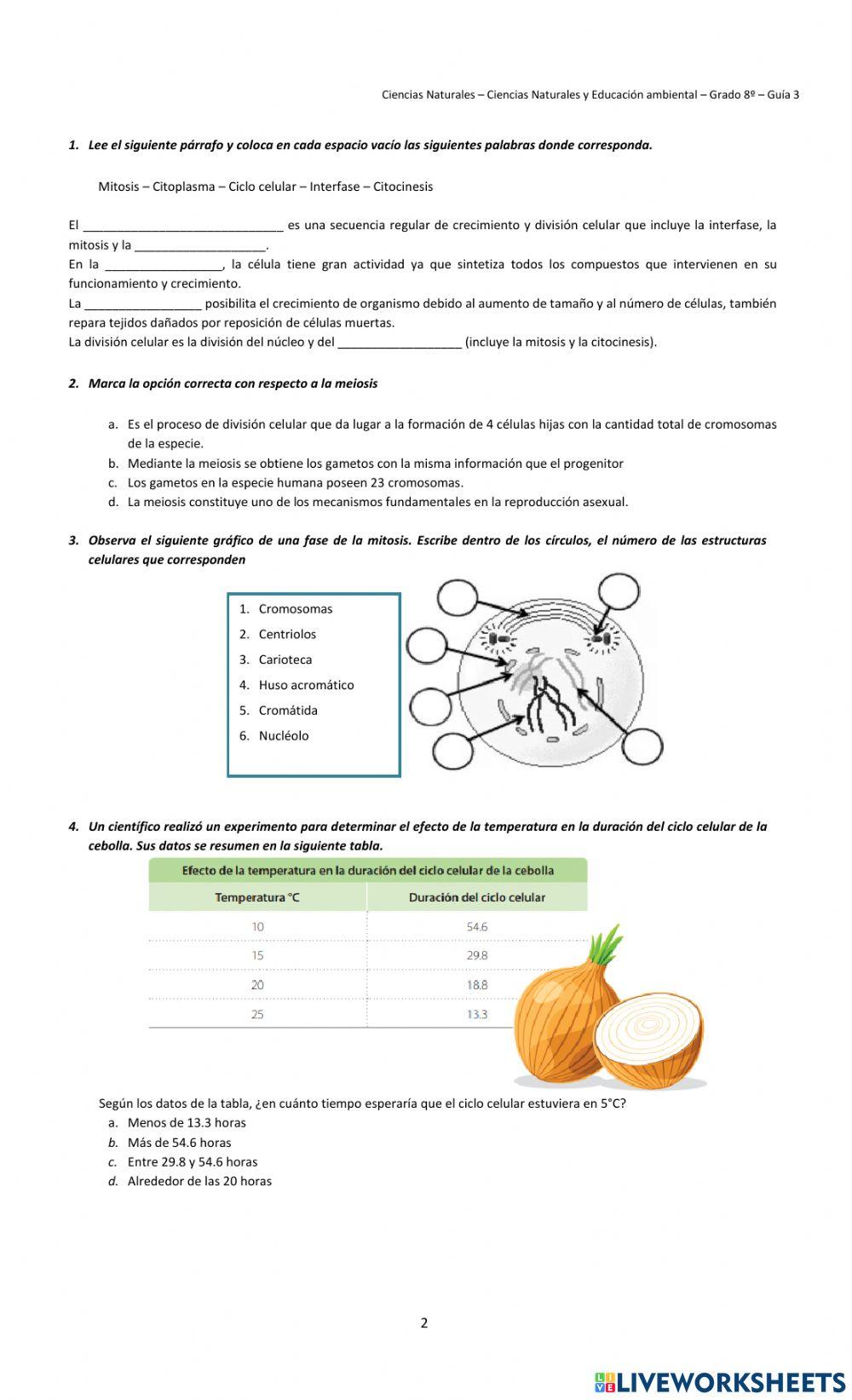 Guía 3 refuerzo ciencias naturales grado 8°
