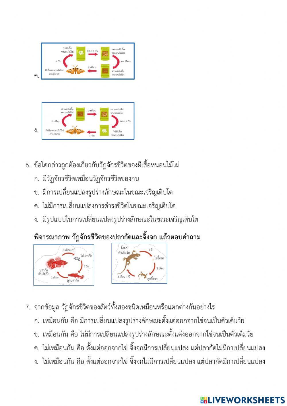 แบบทดสอบ เรื่อง ชีวิตสัตว์