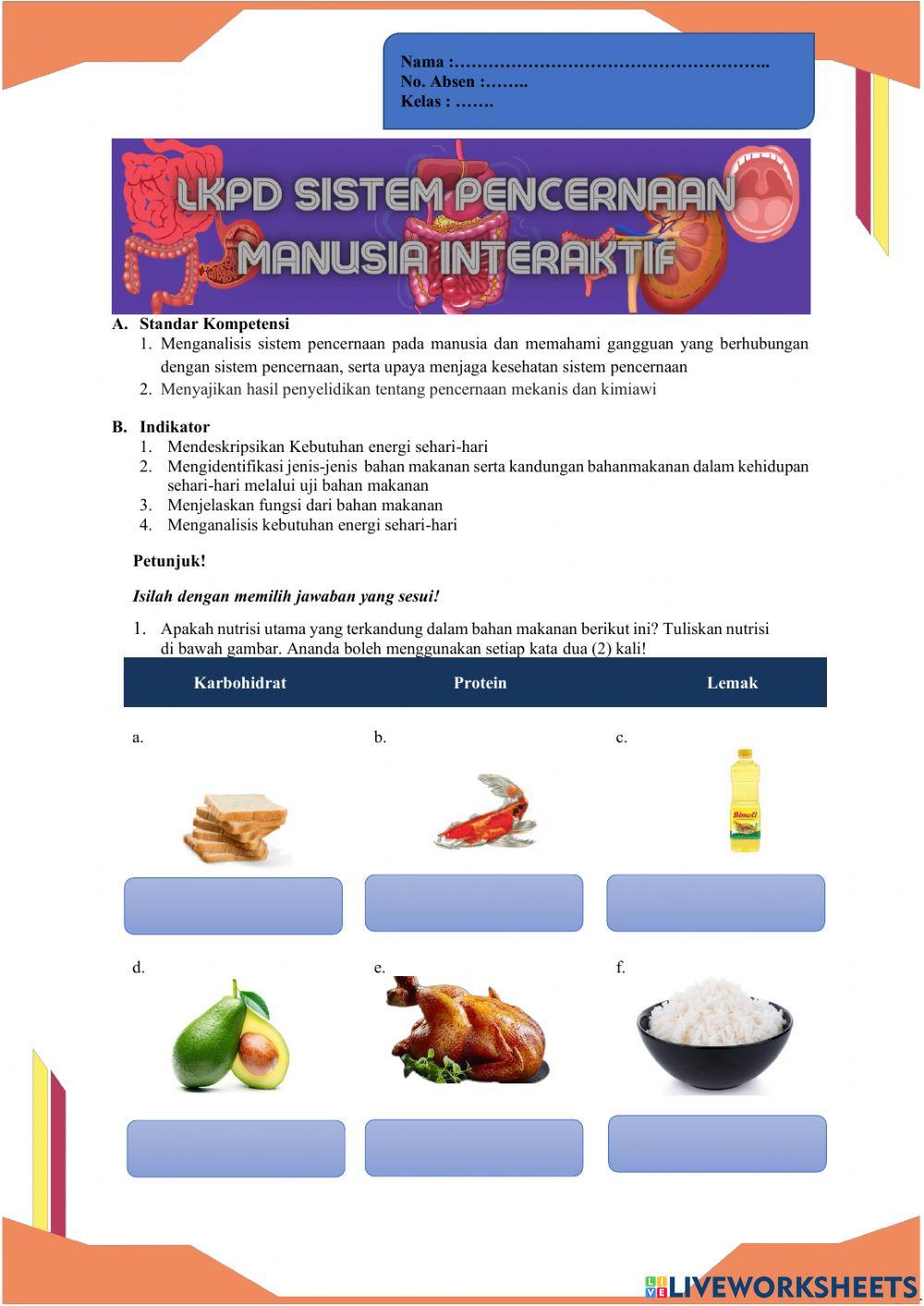 Sistem Pencernaan Makanan Manusia(Makanan dan Nutrisi)