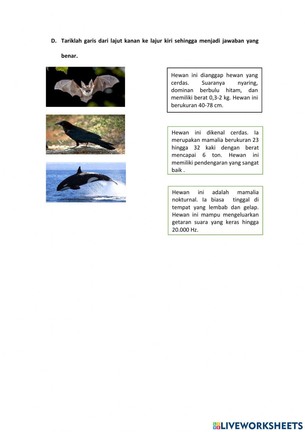 LKPD Bahasa Indonesia