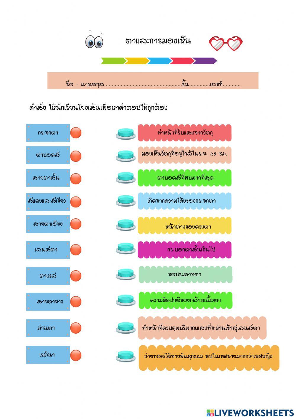 ตาและการมองเห็น