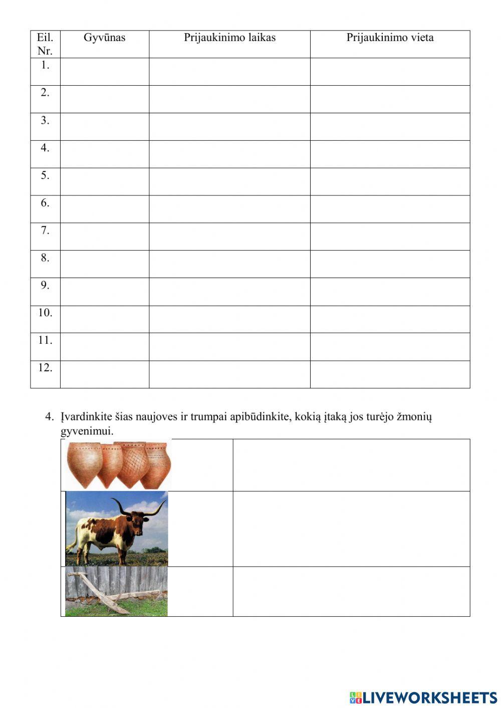 Menas ir tikėjimas. Neolitas