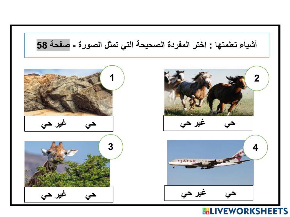 الحركة درس 1