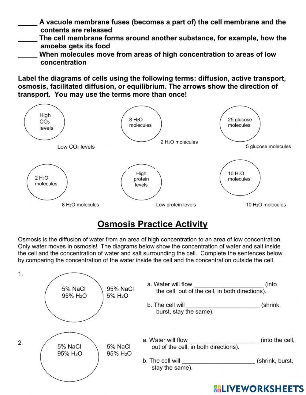 การลำเลียงสาร