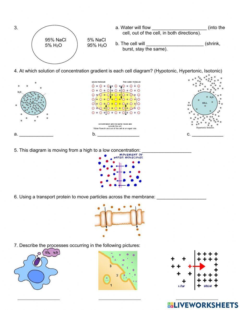 การลำเลียงสาร