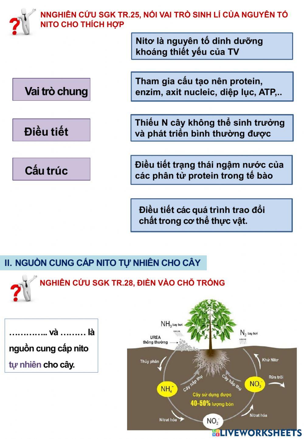 Bài 5,6 Dinh dưỡng nito ở thực vật