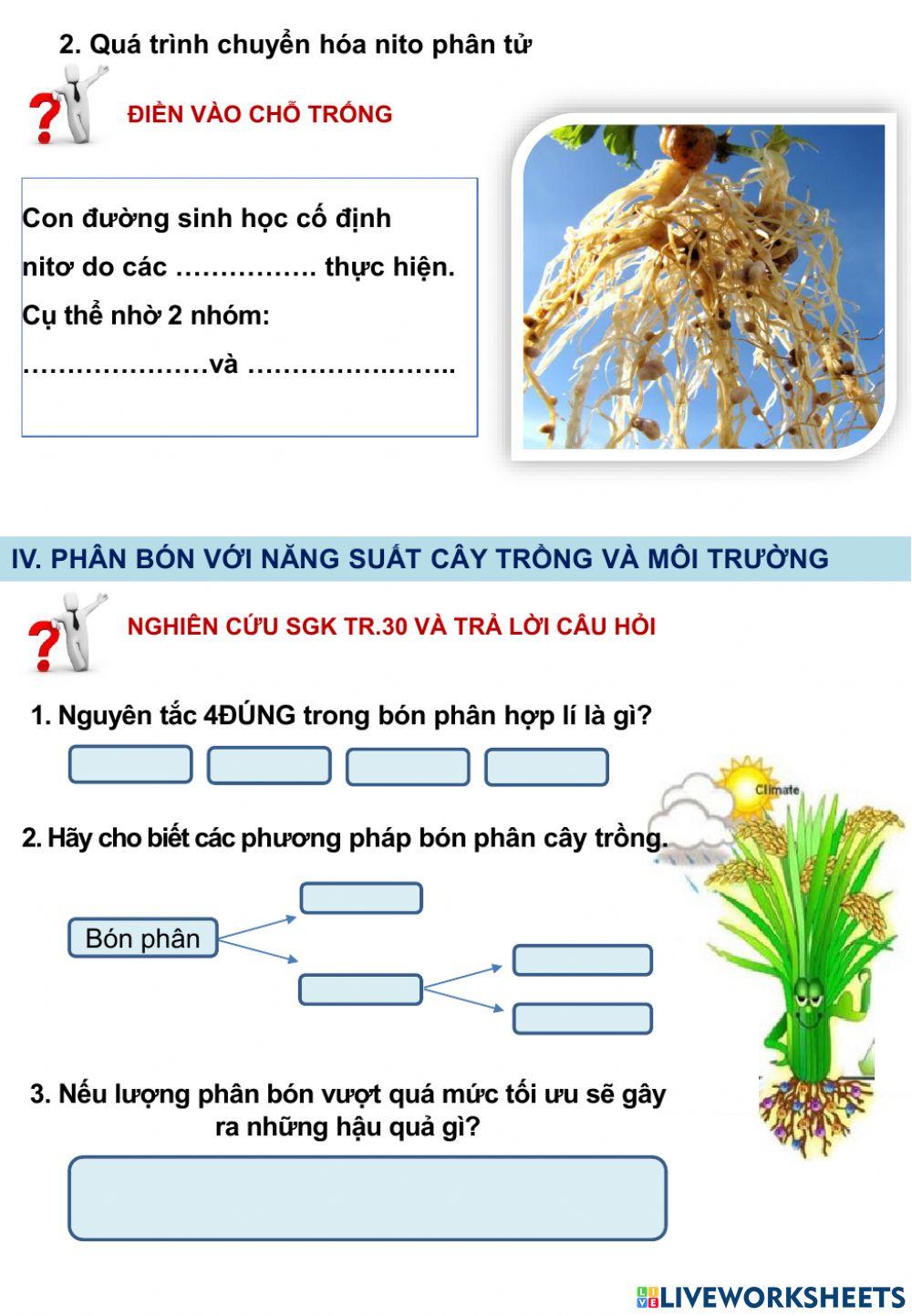 Bài 5,6 Dinh dưỡng nito ở thực vật
