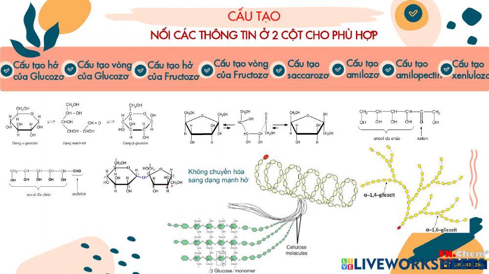 Ôn tập kiến thức cacbohidrat