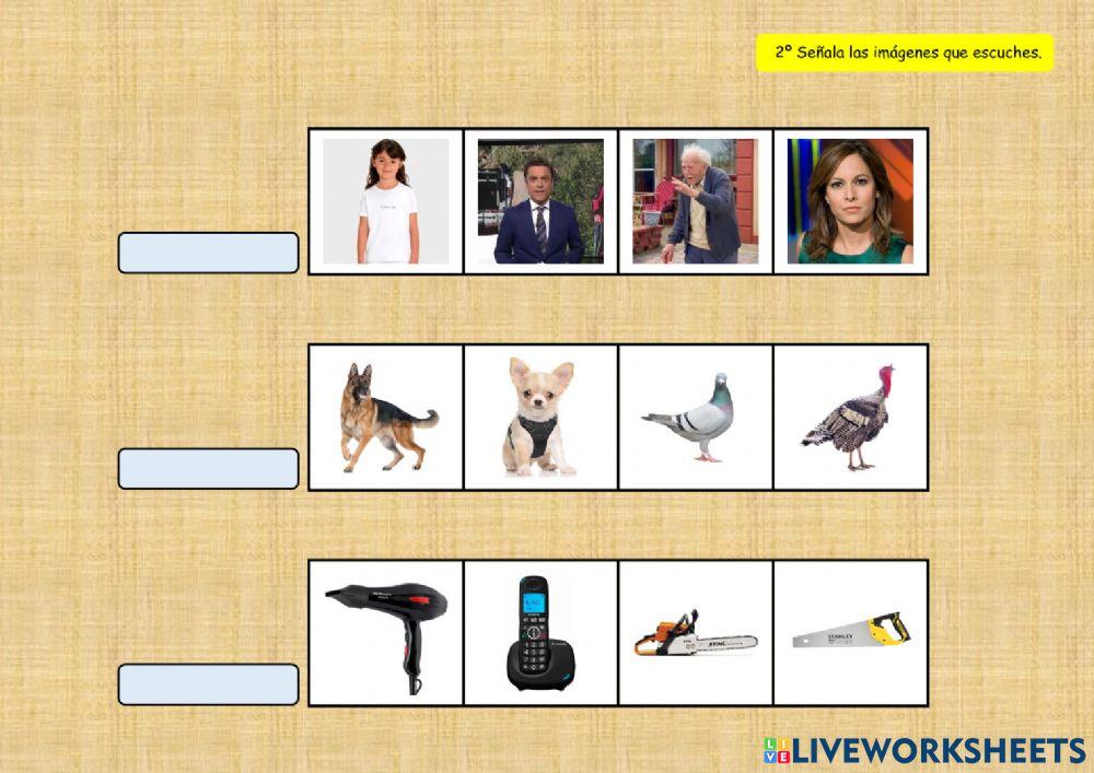 SONIDOS DEL ENTORNO 4