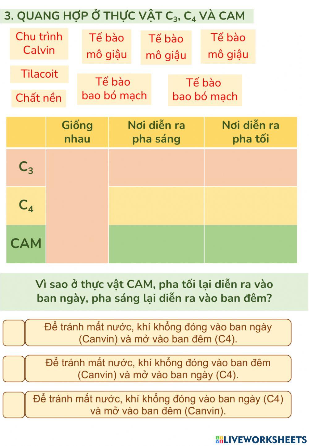 Quang hợp ở thực vật c3, c4 & cam